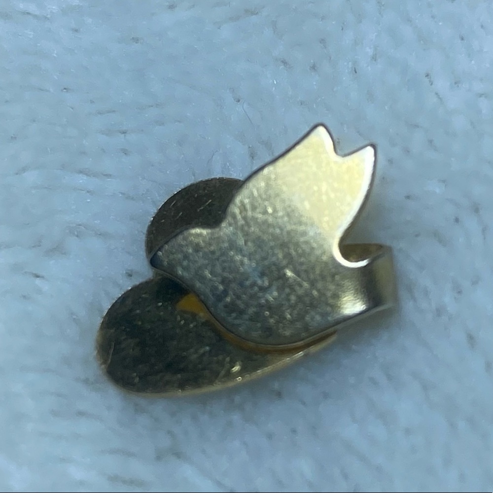 Bird heart